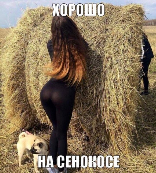 file_74664461