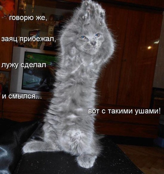 V6MXrKG7tHM