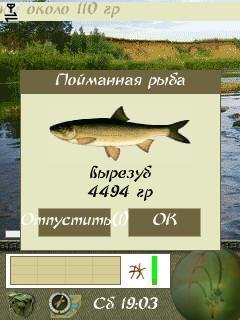 mrr online mod 1.0.4.0