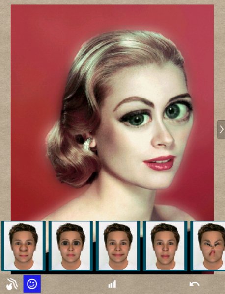 Photo Deformer Pro 2.0.50
