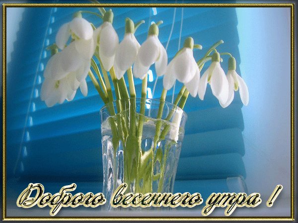 IMG 20190326 908753