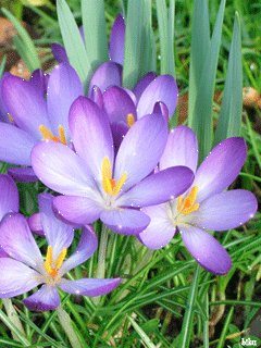 file_15660030