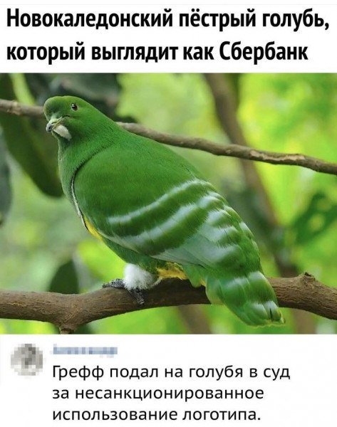 IMG 20210113 221925 751