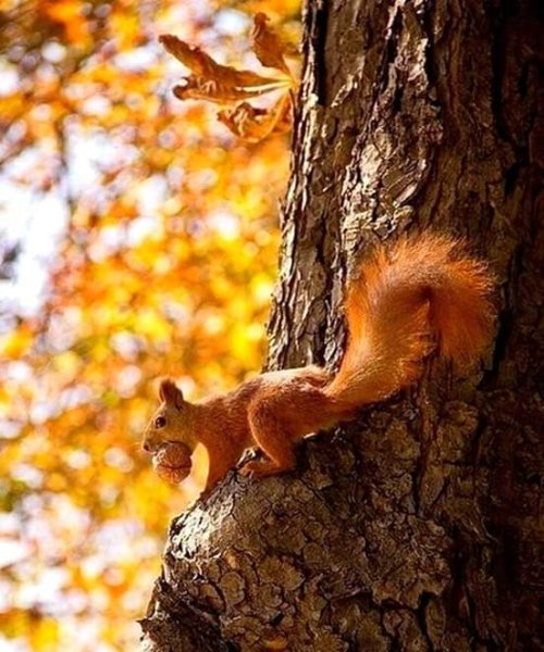 FB IMG 1570194507031