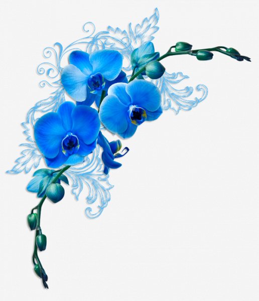 5bad2f3c242821661c8082f4