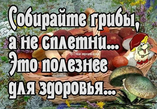 Sobirajte griby a ne spletni - yeto poleznee dlya zdorovbya