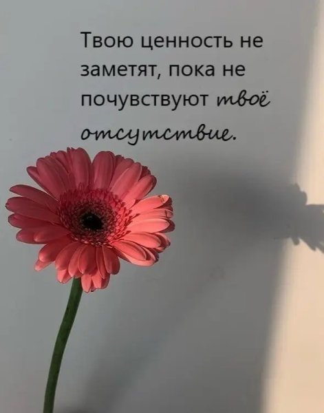 file_100915394