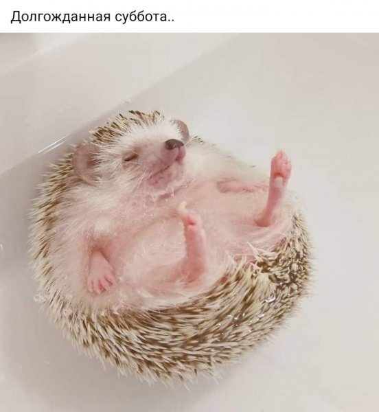 Долгожданная суббота