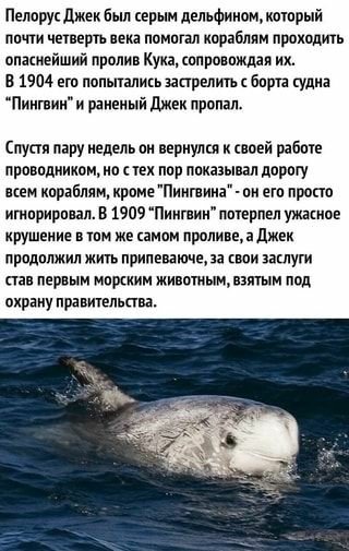 fb5f993bfec4f9baa102a85ea16dbc0b