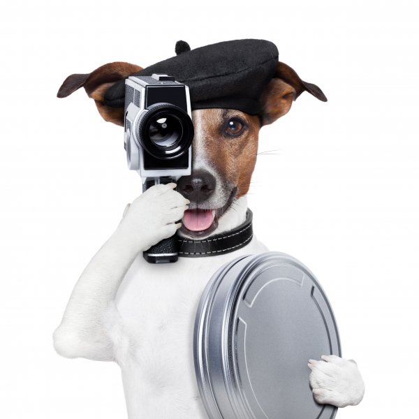 Shutterstock 127801517
