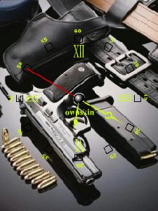 Gun