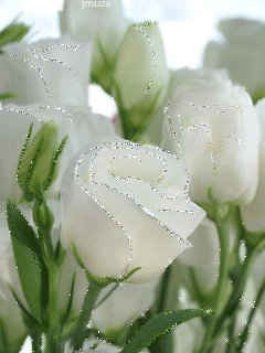 file_28470857