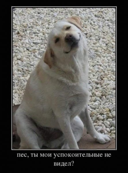 FB IMG 1776447210156