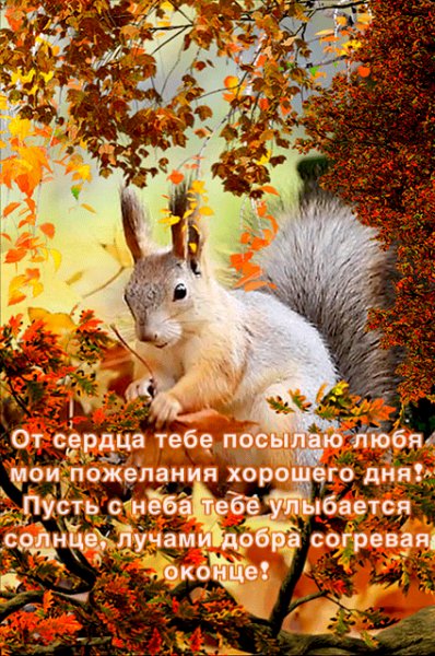 9a42745d213ae18d7083c8c84b7fcbcc