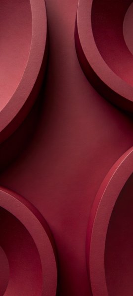 adapted 1080x2408 1772501497