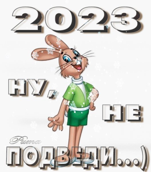 IMG 20221121 163115