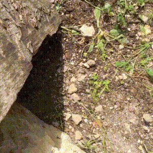 file_62550724