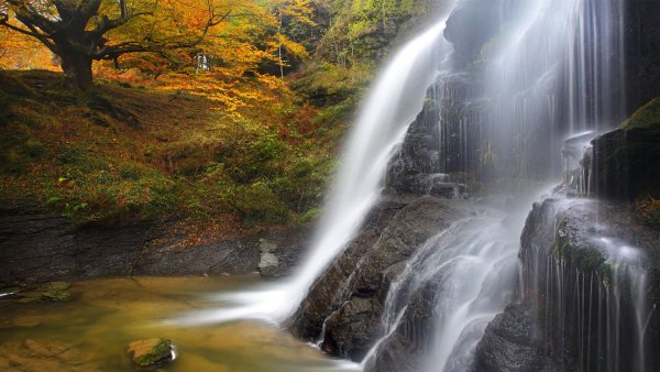 file_76948234