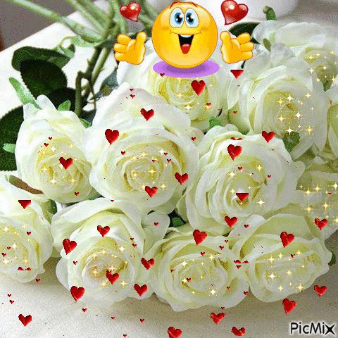 bb89a01a8849d355e6c0f95b53df