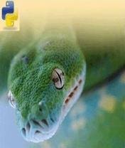 python