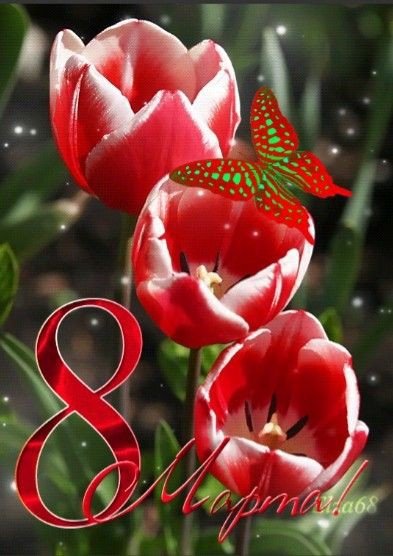 8ee4fa18750a1b4ba56a4c9e0f2bc007