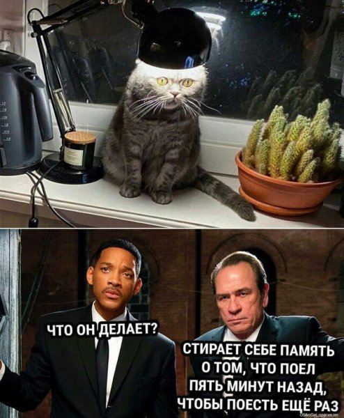 dadefe66c9a4fdf2d20052ab69ee9