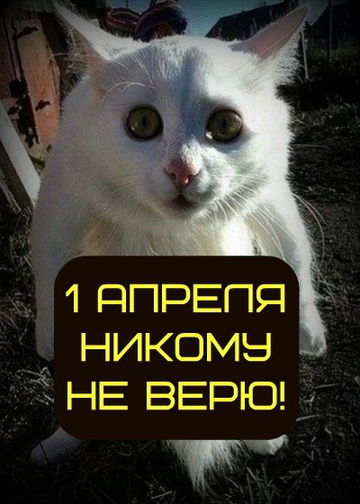 никому не верю
