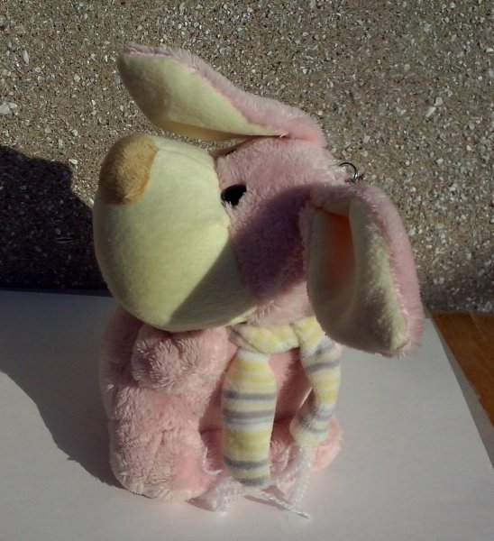 CAM02337-1