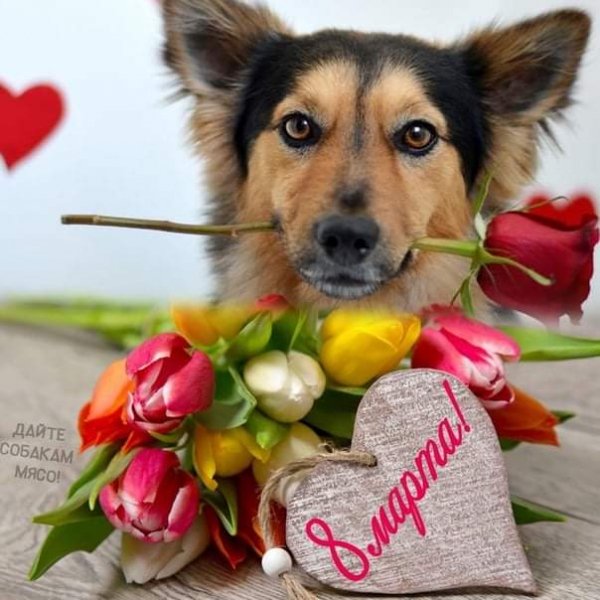 FB IMG 1615218792162