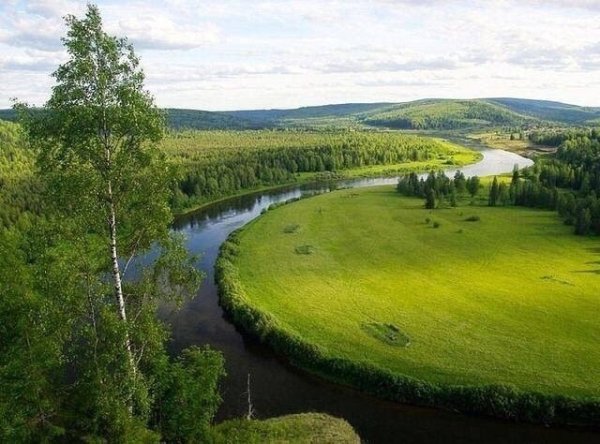красота