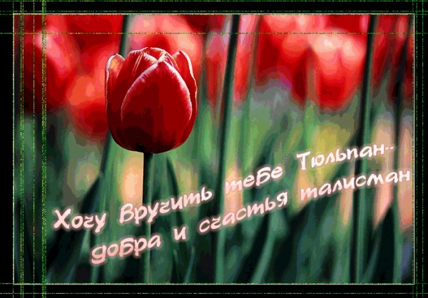 file_9088169