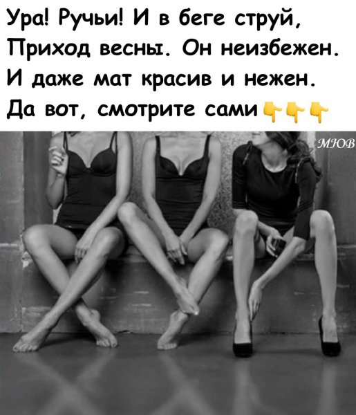 FB IMG 1775992147625