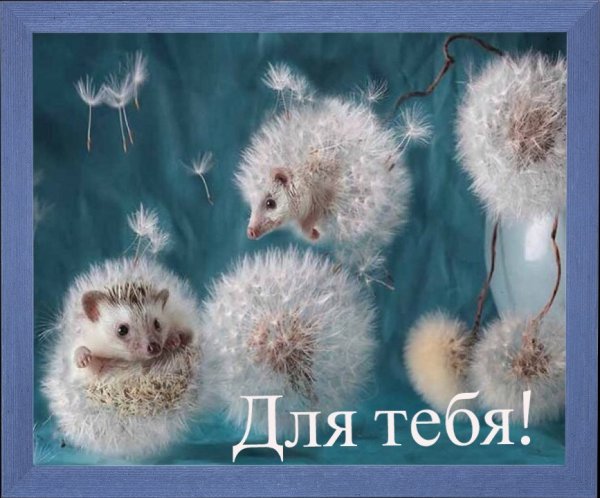 IMG 20190209 232905