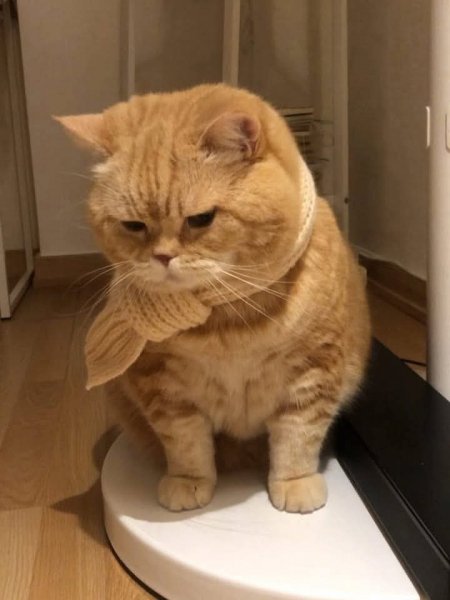 FB IMG 1771321130765