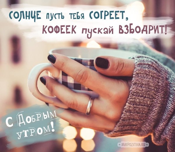 IMG 20181208 152634