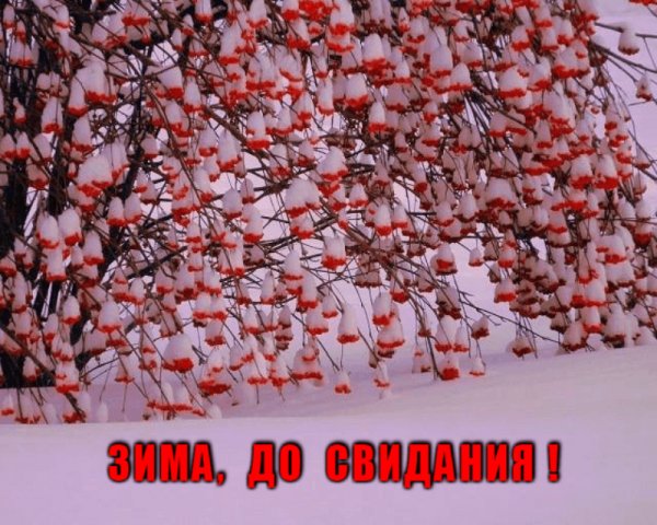 gif 1488296948