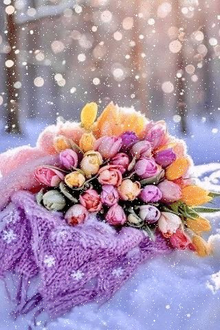 TYuhT7JHjUq