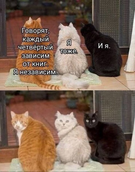 5a961e6e656afa34b7bdf3fb9be506b4