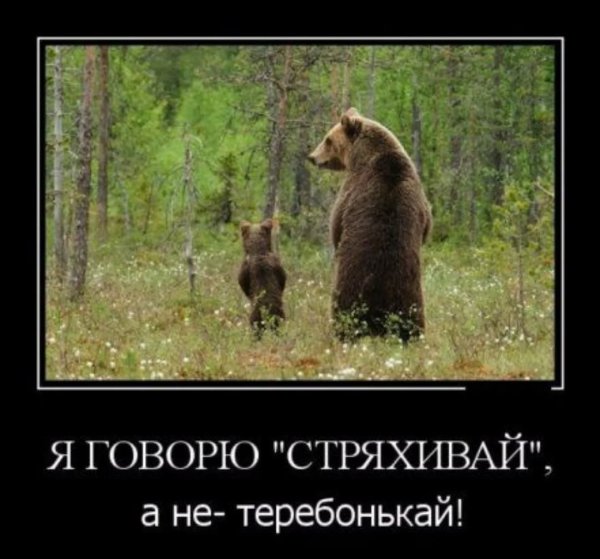Yumor tivi ee9c2d29cb8e47bb