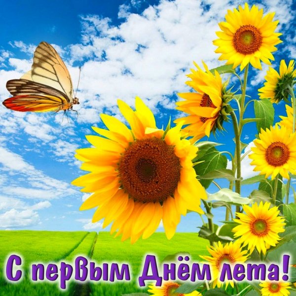 file_93715897