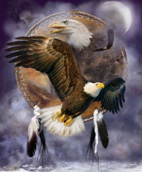 02 DC SpiritOfTheEagle Pic