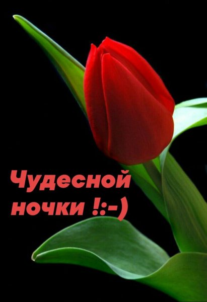 VEtYzewJsRU