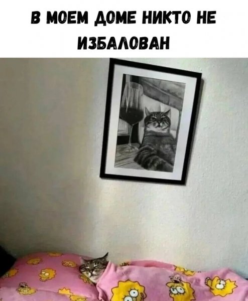 file_102236753