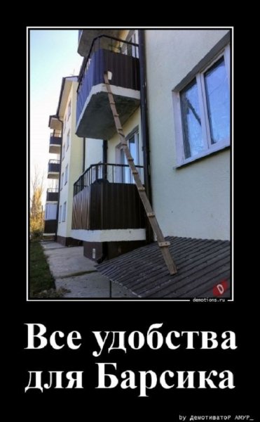 Удобства для Барсика