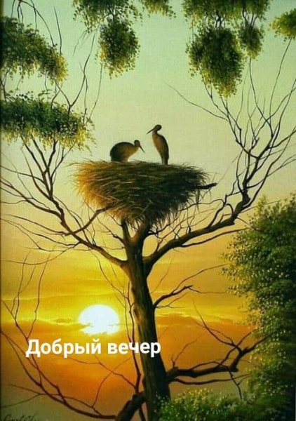Добрый вечер