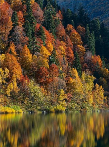 Screenshot 2021-11-06-18-55-09