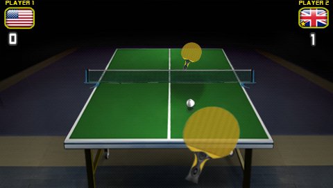 World Ping Pong Championship