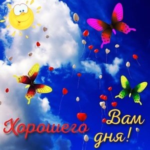 IMG 20181116 141040
