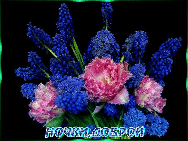 Анимированная открытка спокойной ночи (12)