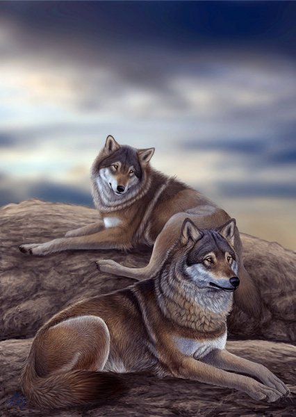 wolf mates by ferluner-d3h1lq9